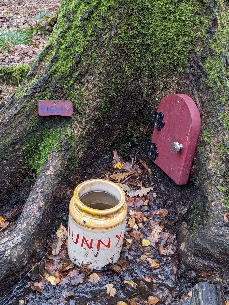 プーさんの故郷へ！イギリスに実在した【100エーカーの森】 - イギリス