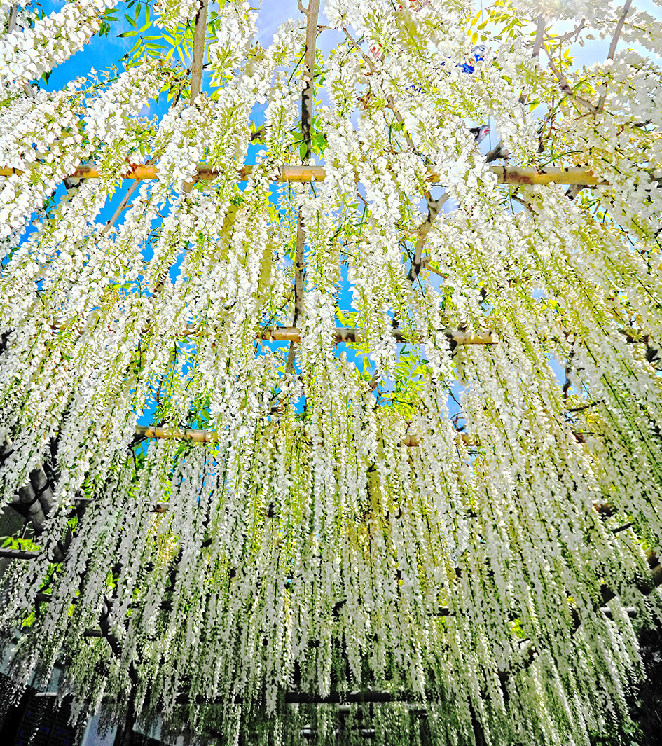 f:id:na-mansan:20190508175200j:plain f:id:na-mansan:20190508175200j:plain