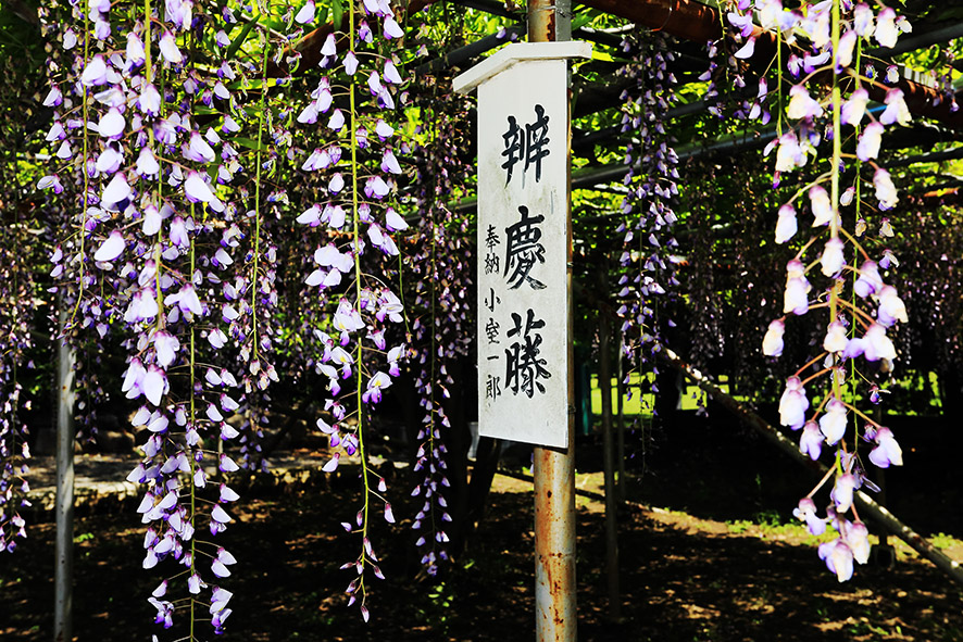 f:id:na-mansan:20190508175308j:plain f:id:na-mansan:20190508175308j:plain