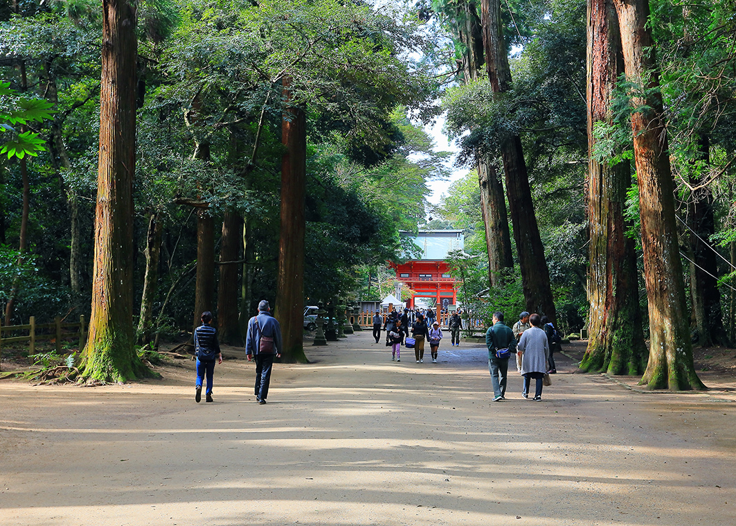 f:id:na-mansan:20220319191200j:plain