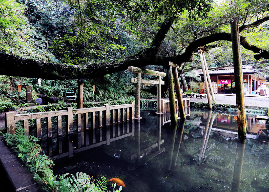 f:id:na-mansan:20220319191848j:plain