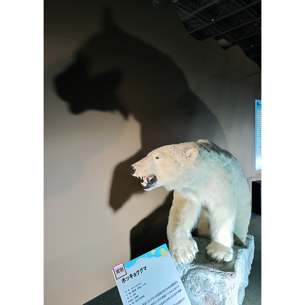 巨大恐竜展2024 \u0026 みなとみらいでイタリアン〜♪ - なーまんのEye-Level, image size:1063x1063