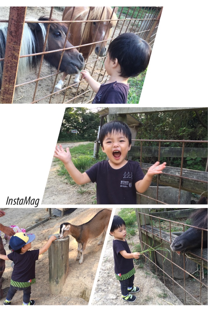 f:id:na0520:20160913004653j:image f:id:na0520:20160913004653j:image