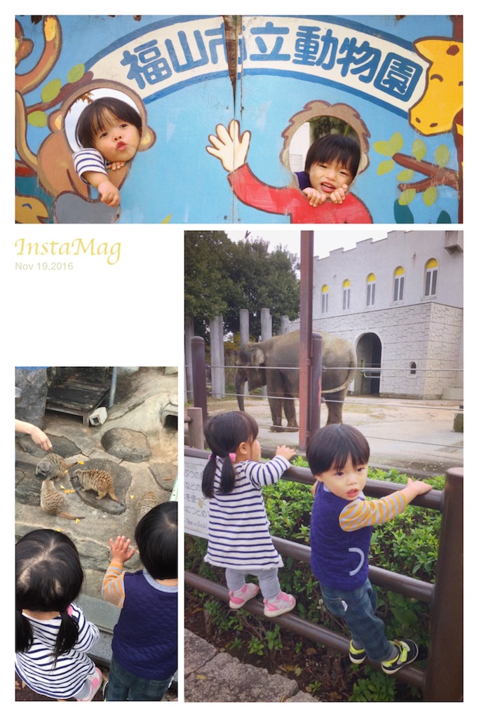 f:id:na0520:20161121230042j:image f:id:na0520:20161121230042j:image
