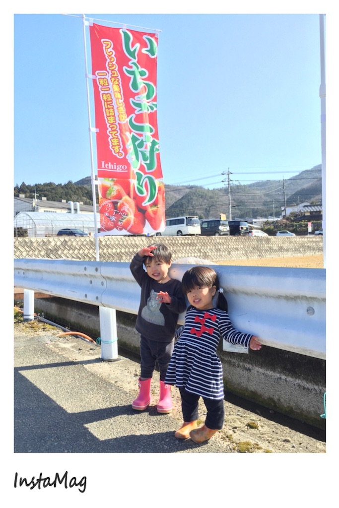 f:id:na0520:20170128204757j:image f:id:na0520:20170128204757j:image