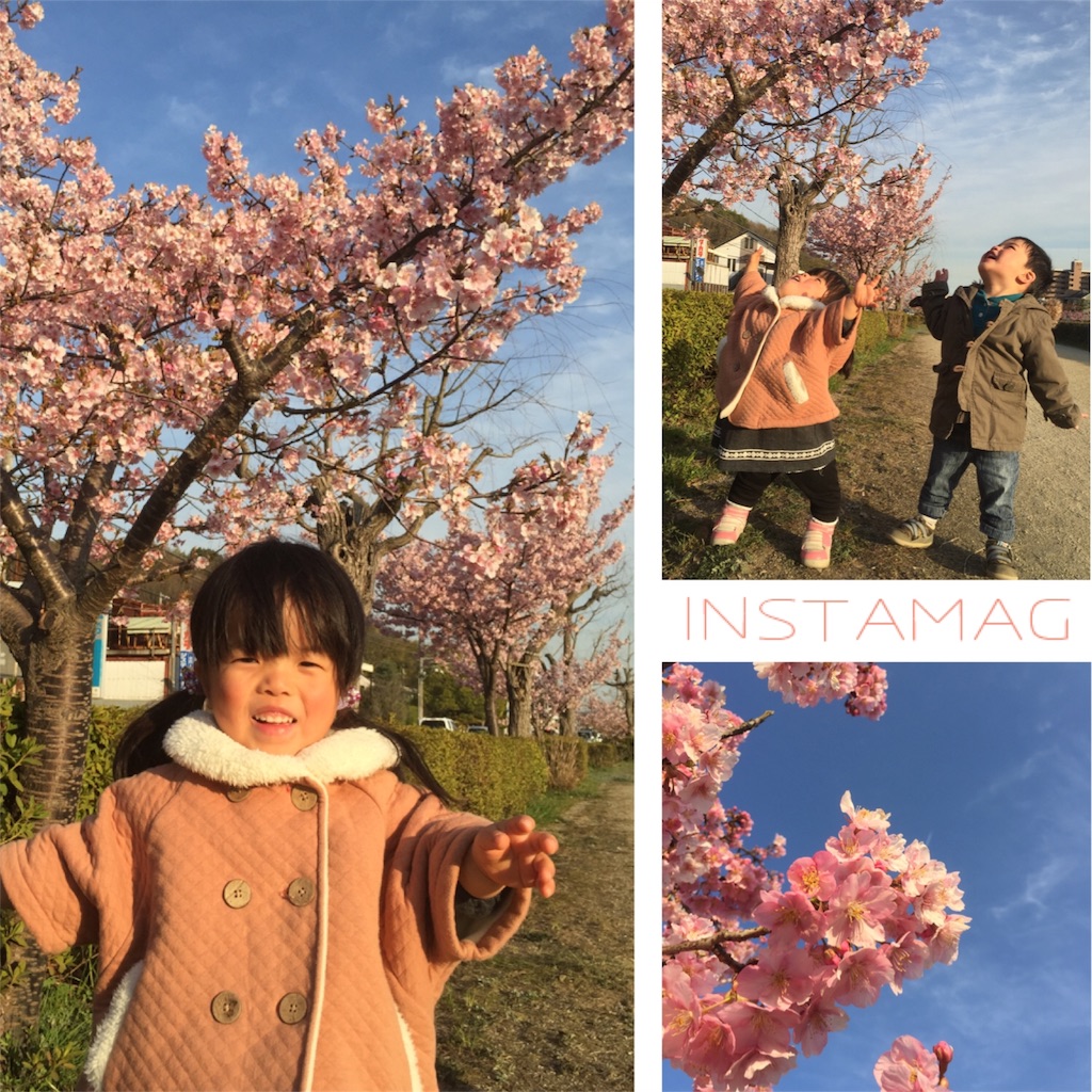 f:id:na0520:20170317191515j:image f:id:na0520:20170317191515j:image