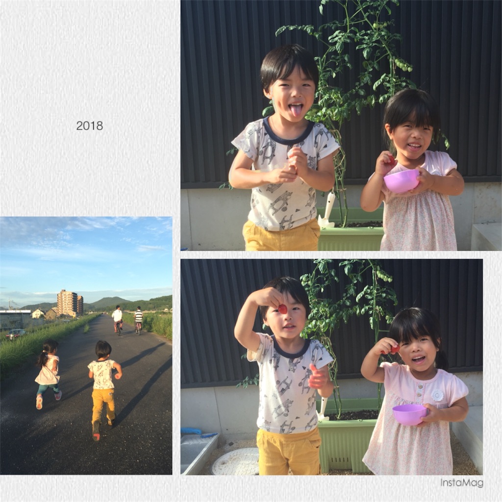 f:id:na0520:20180718095728j:image