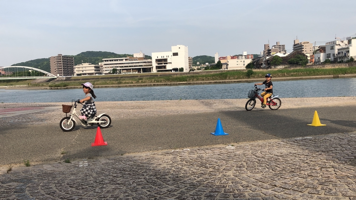 f:id:na0520:20190525161058j:plain
