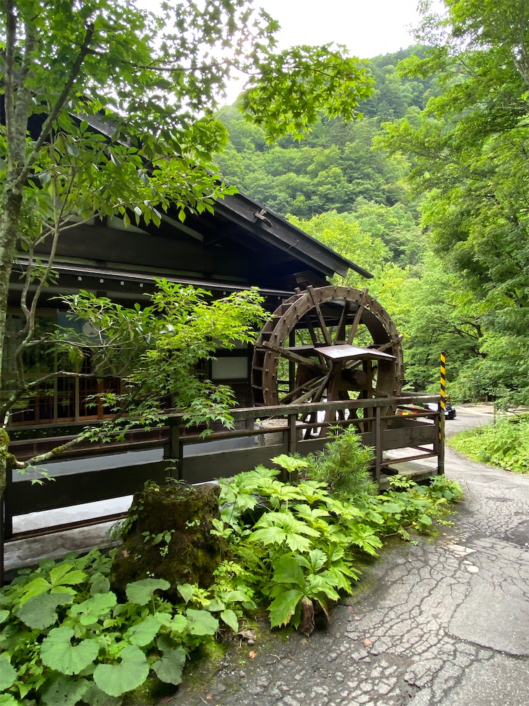 f:id:na0om_hohoemi:20220822163739j:image