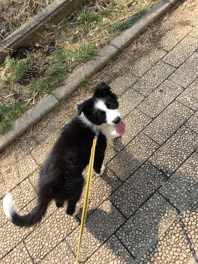 f:id:na20723:20180224135244j:image
