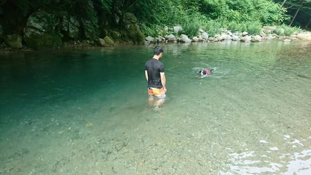 f:id:na20723:20180720145017j:plain