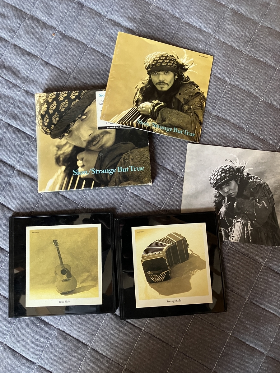 Strange but True/SION - けっきょくなにもしない