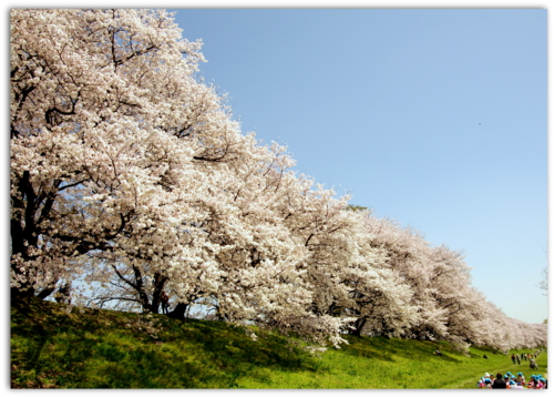 f:id:na300111:20130405112059j:image