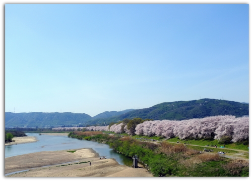 f:id:na300111:20130405132047j:image