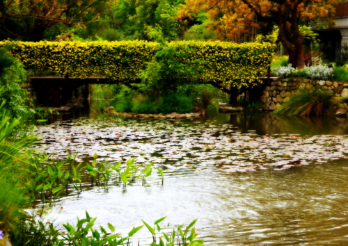 f:id:na300111:20130426100155j:image