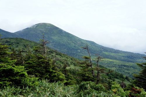 f:id:na300111:20130730144357j:image
