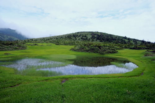f:id:na300111:20130730150251j:image