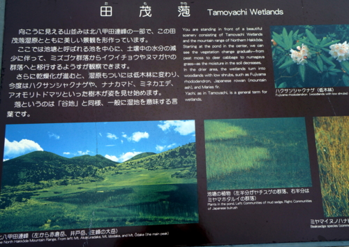f:id:na300111:20130730151326j:image