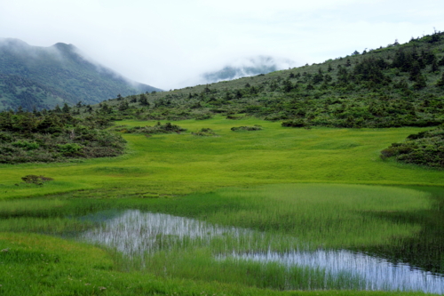 f:id:na300111:20130730152225j:image