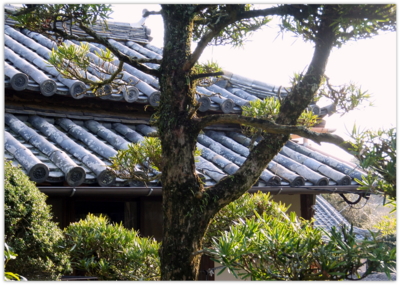 f:id:na300111:20140102145406j:image