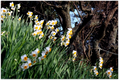 f:id:na300111:20140102150412j:image