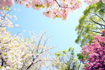 f:id:na300111:20140415111754j:image