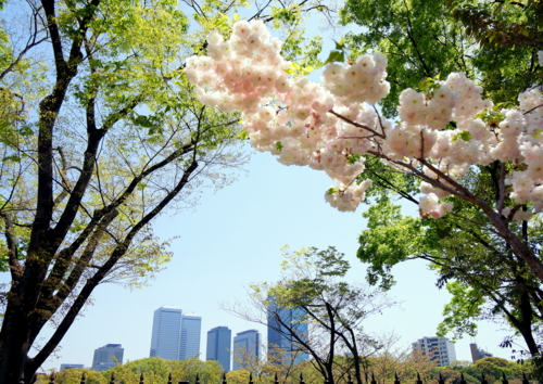 f:id:na300111:20140415113055j:image