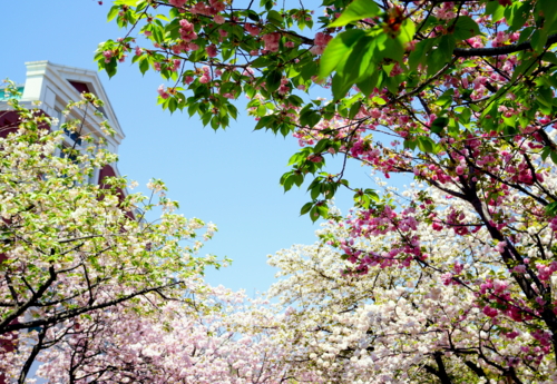 f:id:na300111:20140415121227j:image
