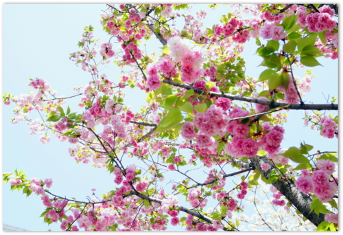 f:id:na300111:20140415121323j:image