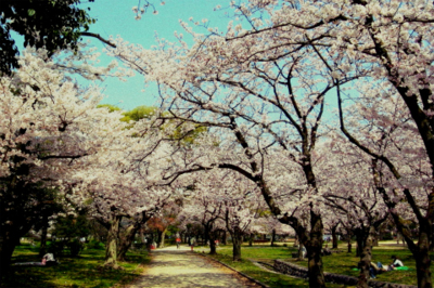 f:id:na300111:20150404192750j:image