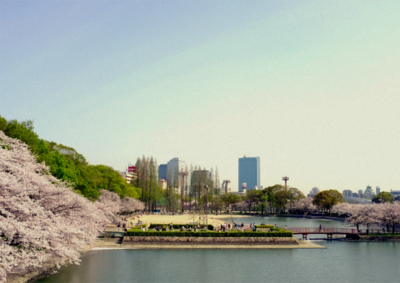 f:id:na300111:20150404192751j:image