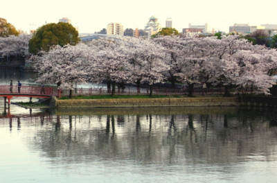 f:id:na300111:20150404192752j:image