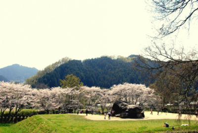 f:id:na300111:20150404192753j:image