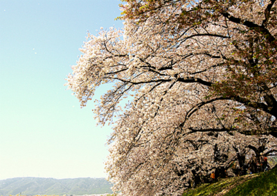 f:id:na300111:20150404192754j:image