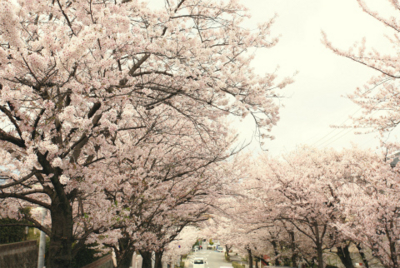 f:id:na300111:20150404192755j:image