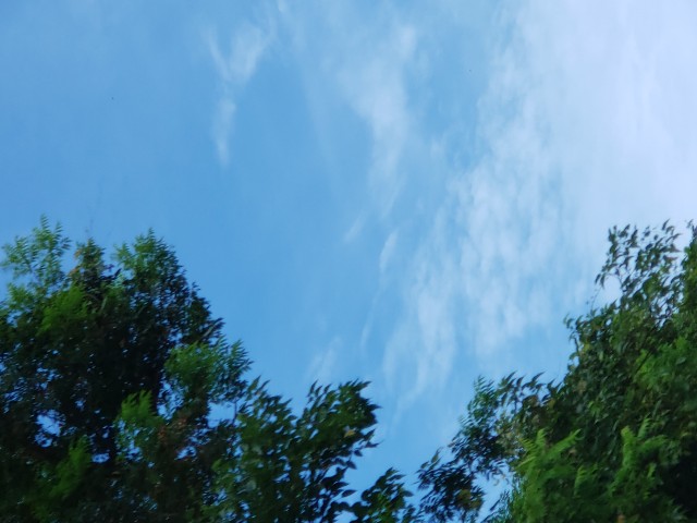 f:id:na7aki26:20190728095815j:image f:id:na7aki26:20190728095815j:image