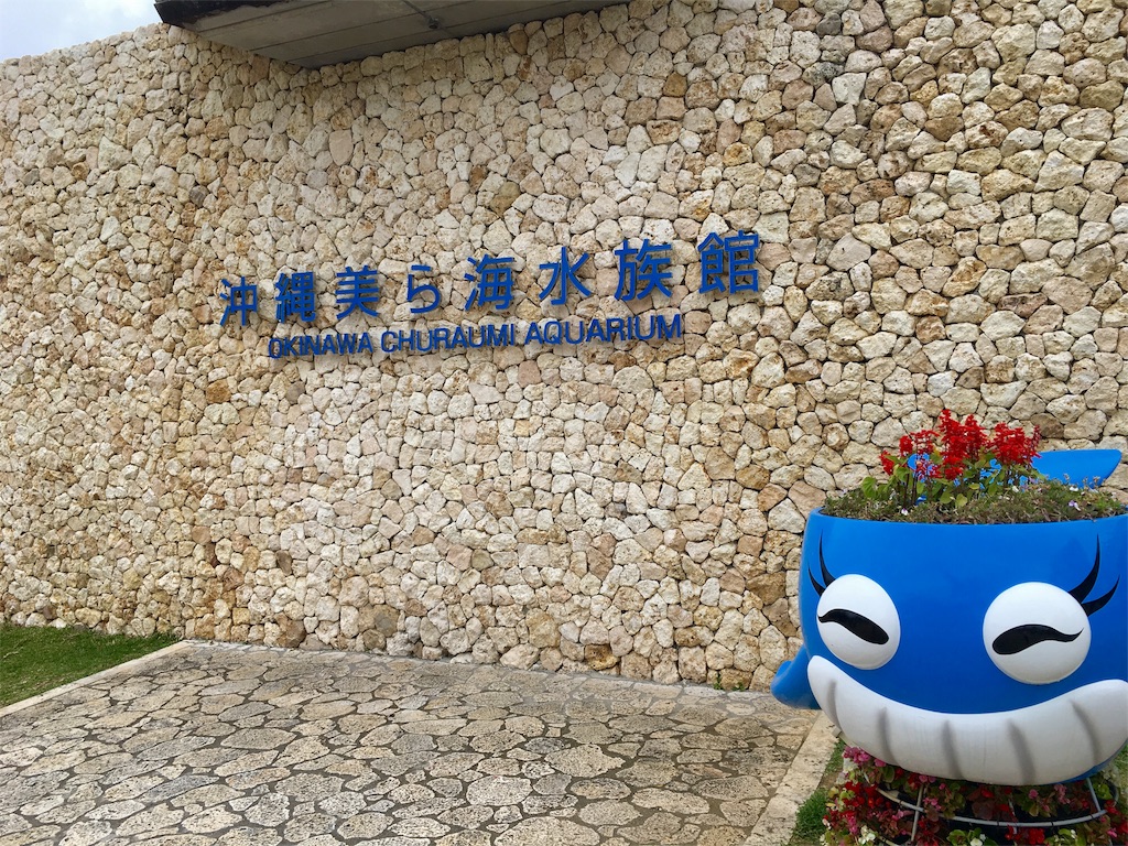 f:id:na_____kya:20170504230227j:image f:id:na_____kya:20170504230227j:image