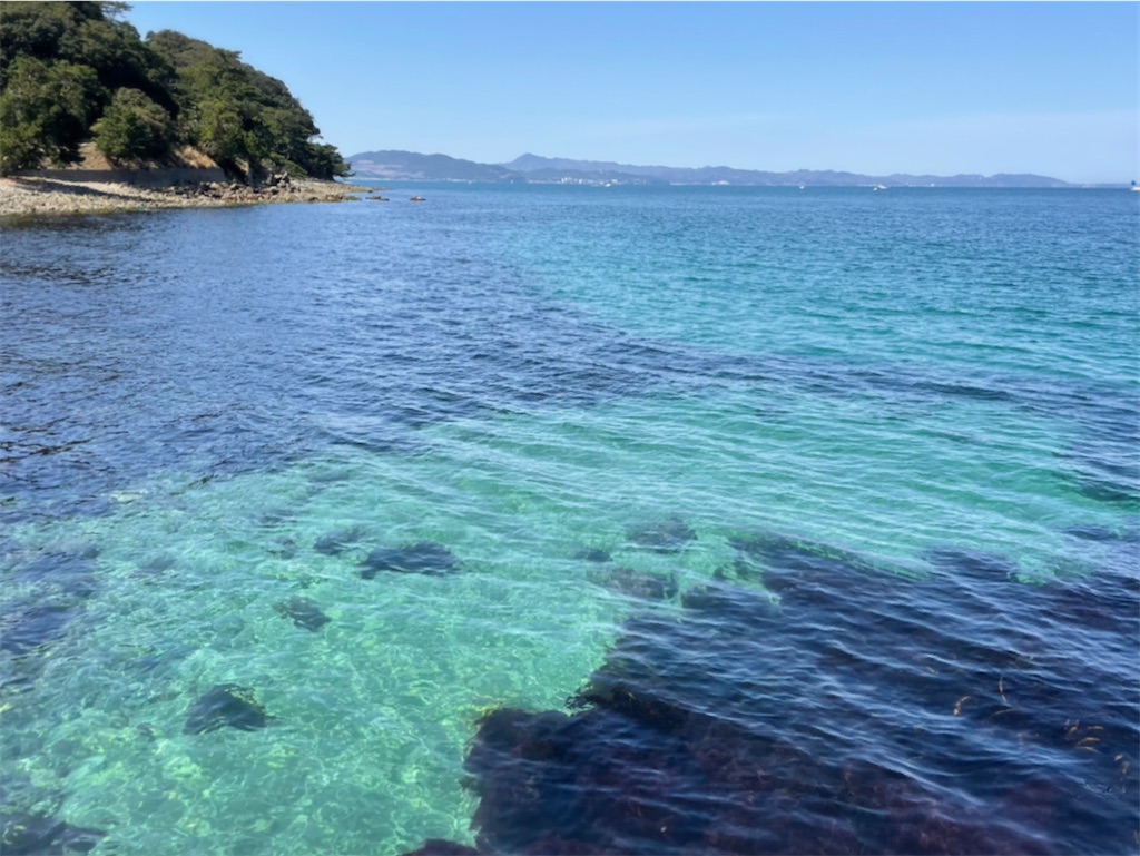 f:id:naa666lec:20230330221104j:image f:id:naa666lec:20230330221104j:image