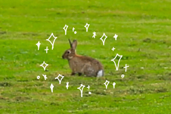 f:id:naa67:20180209121326j:plain