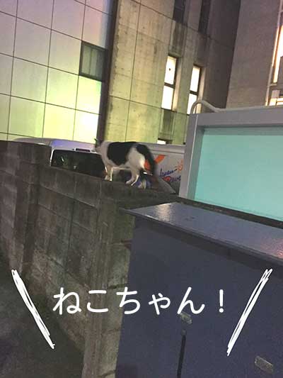 f:id:naa67:20180218191033j:plain f:id:naa67:20180218191033j:plain