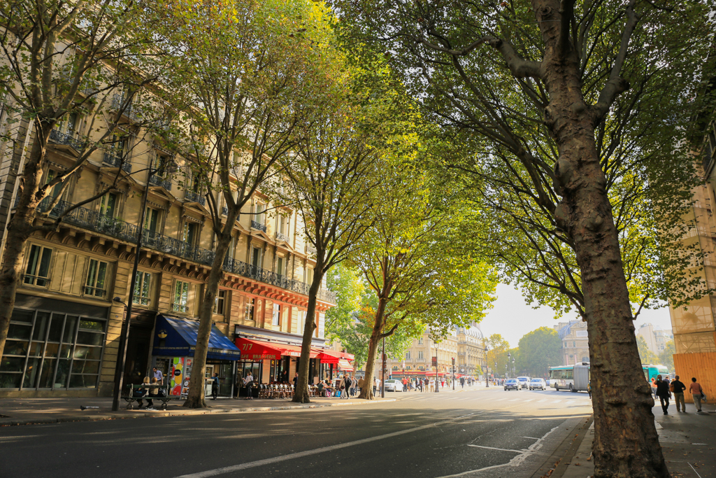 f:id:naa67:20190501180228j:plain f:id:naa67:20190501180228j:plain