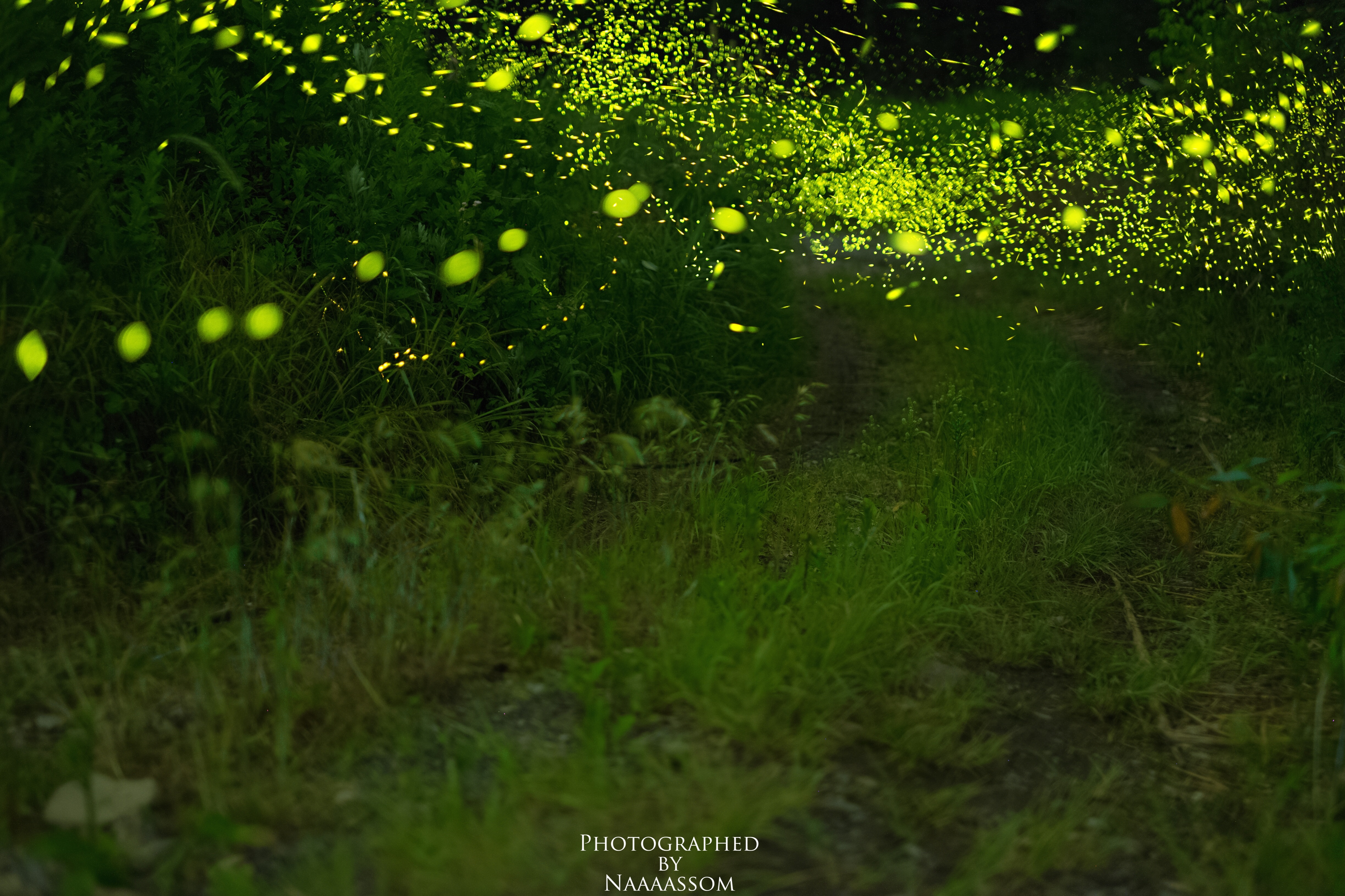f:id:naaaassom:20160602083406j:image f:id:naaaassom:20160602083406j:image