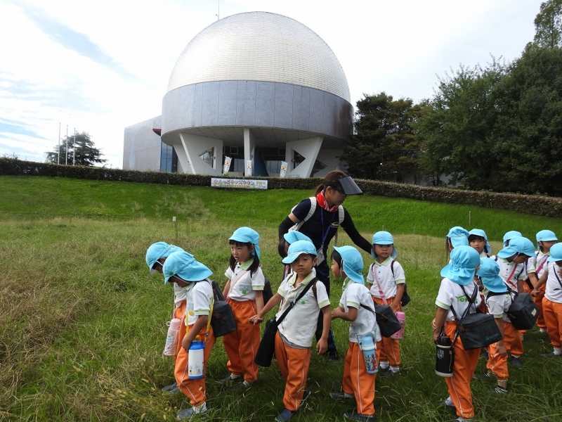 f:id:nabari-y:20161014091404j:image