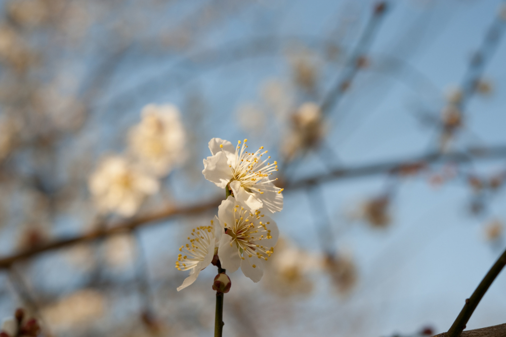 f:id:nabe:20090210160333j:image:w600