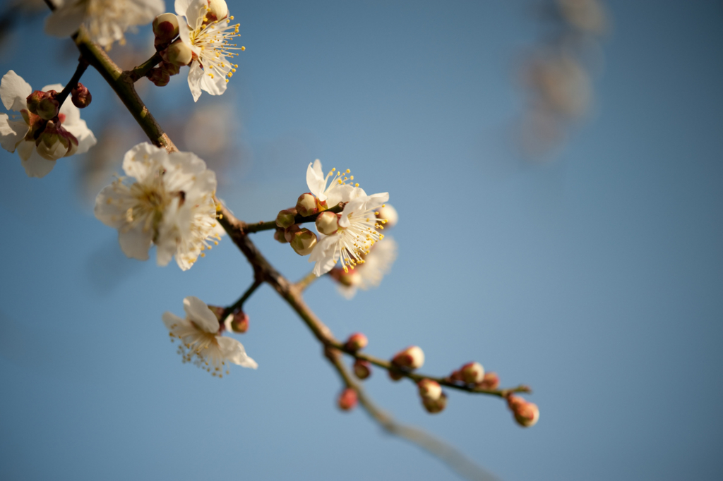 f:id:nabe:20090210160418j:image:w600