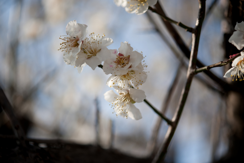 f:id:nabe:20090210160507j:image:w600