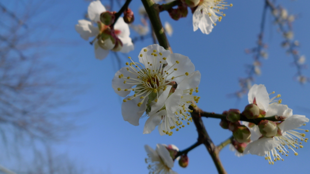 f:id:nabe:20090210160733j:image:w600
