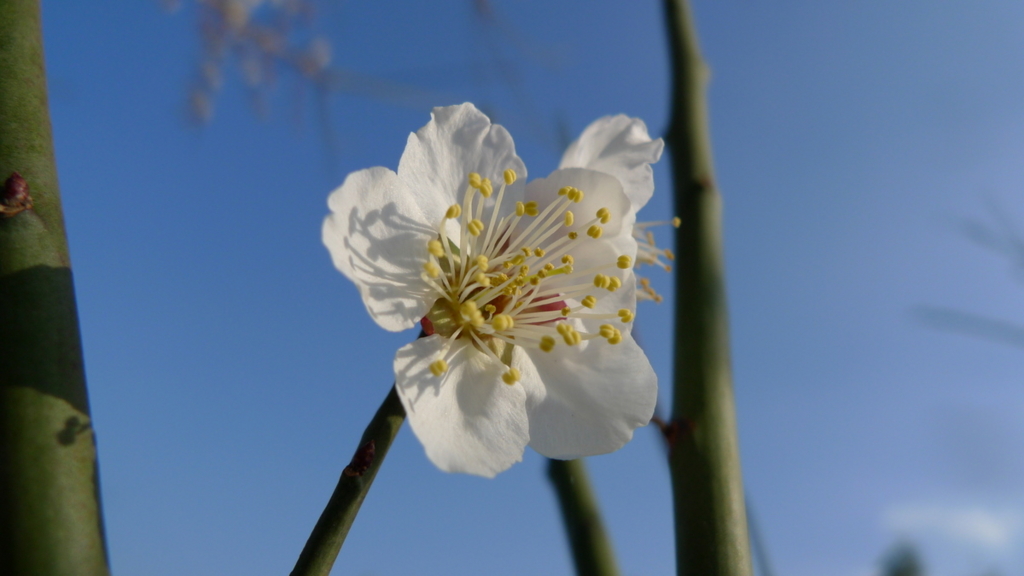 f:id:nabe:20090210160836j:image:w600