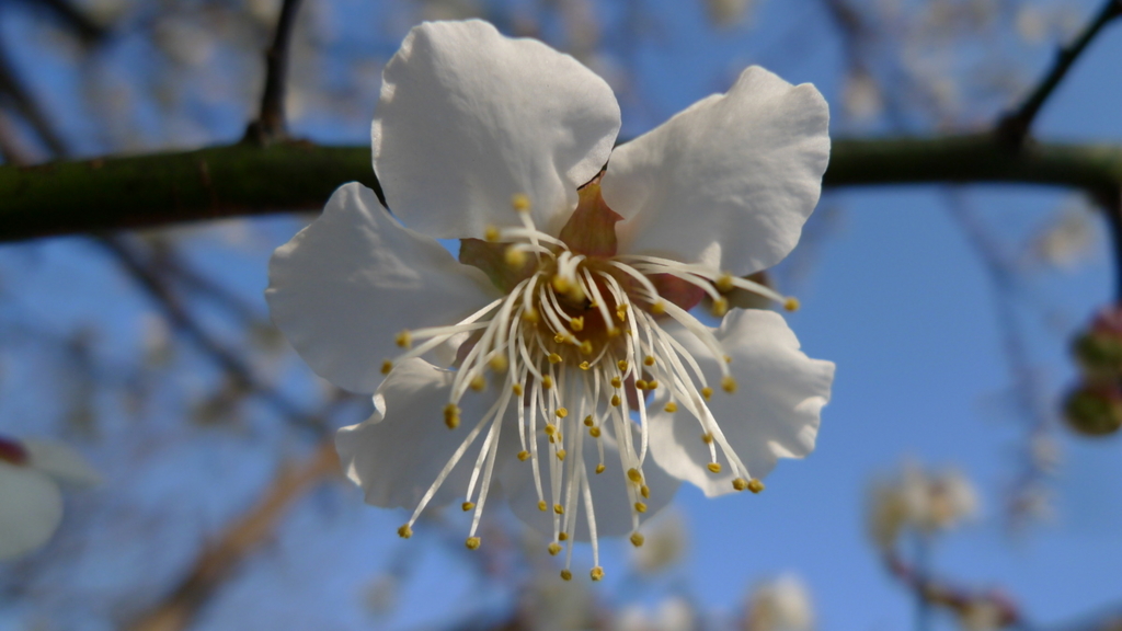 f:id:nabe:20090210160854j:image:w600
