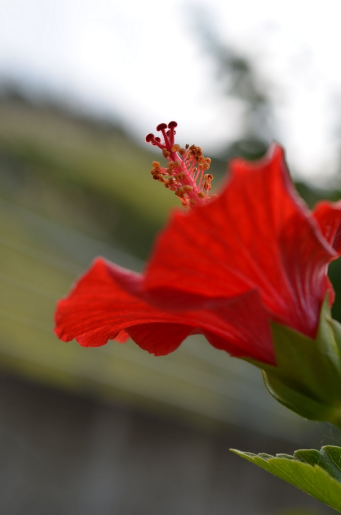 f:id:nabe:20111208133119j:image:w400